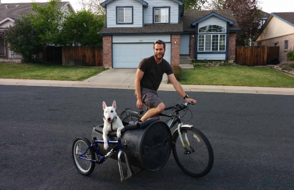 Dog Bike Ride Videos
