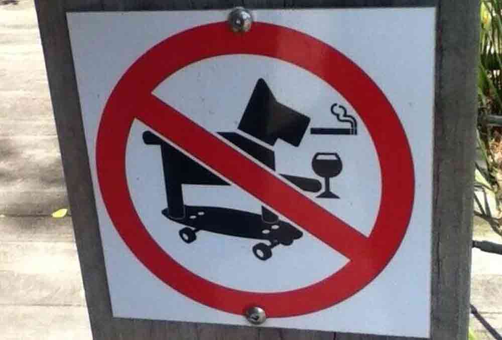 GearChase-Coolest-Dog-Ever1000x678